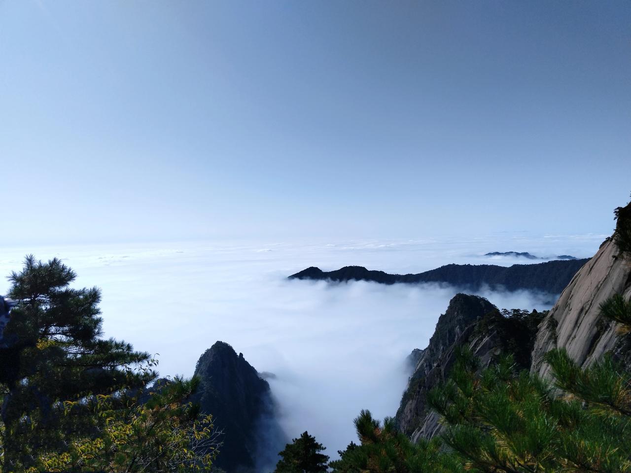 真正的强大不是对抗，而是允许一切发生。允许遗憾，允许付出没有回报…做快乐的事，见