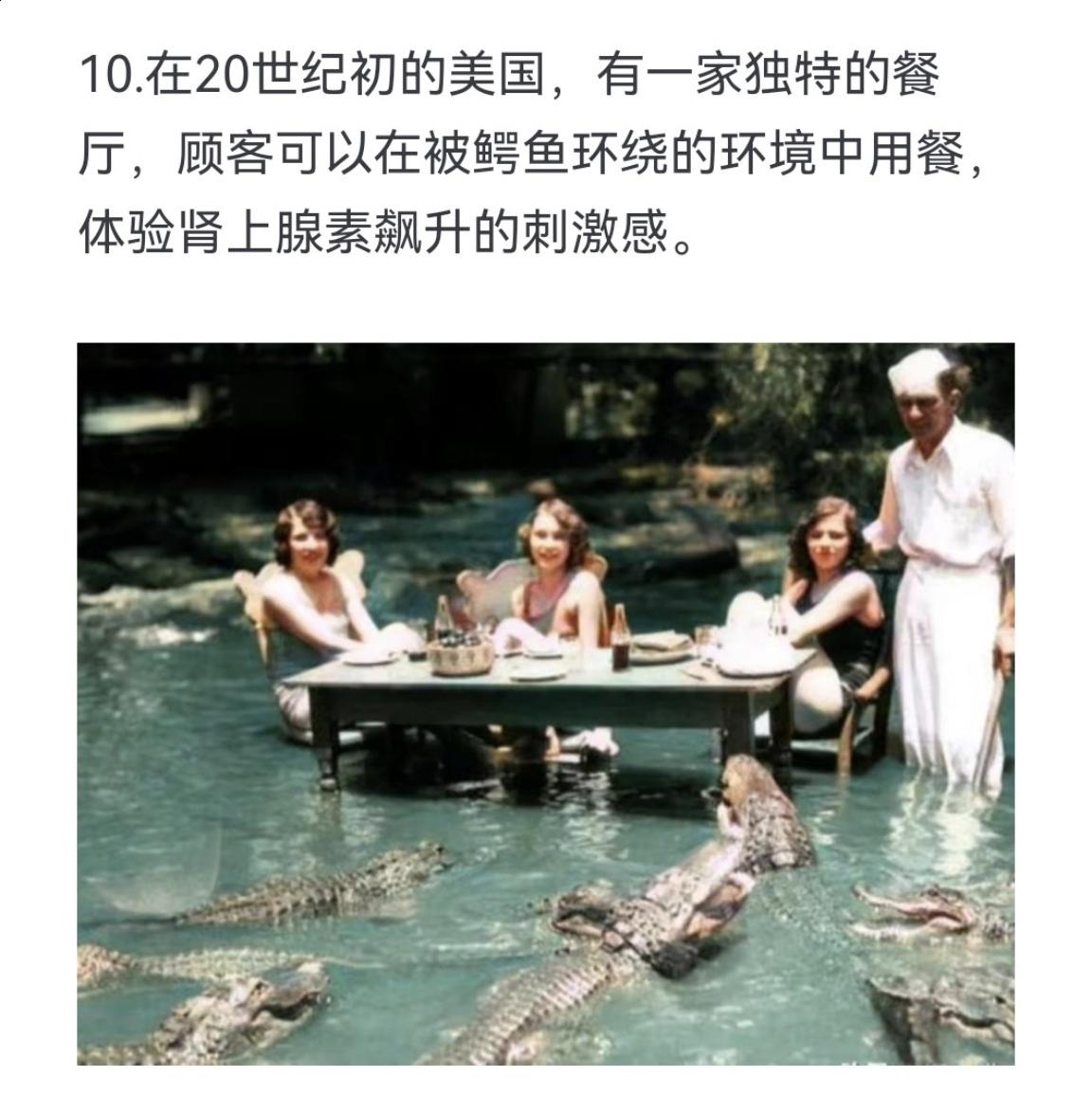 在20世纪初的美国，有一家独特的餐厅，顾客可以在被鳄鱼环绕的环境中用餐