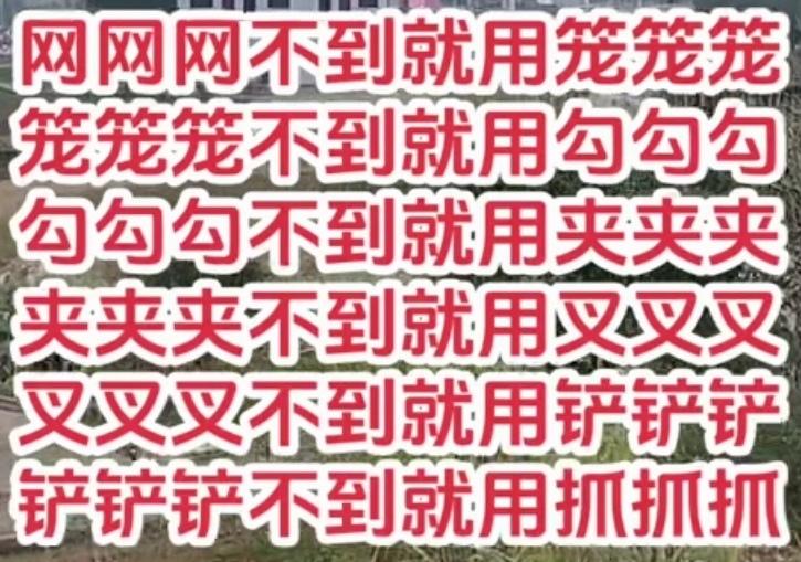 四川人最会使用工具的最优方式！比如用工具来说，四川人都是用套套套、夹夹夹、锤锤锤