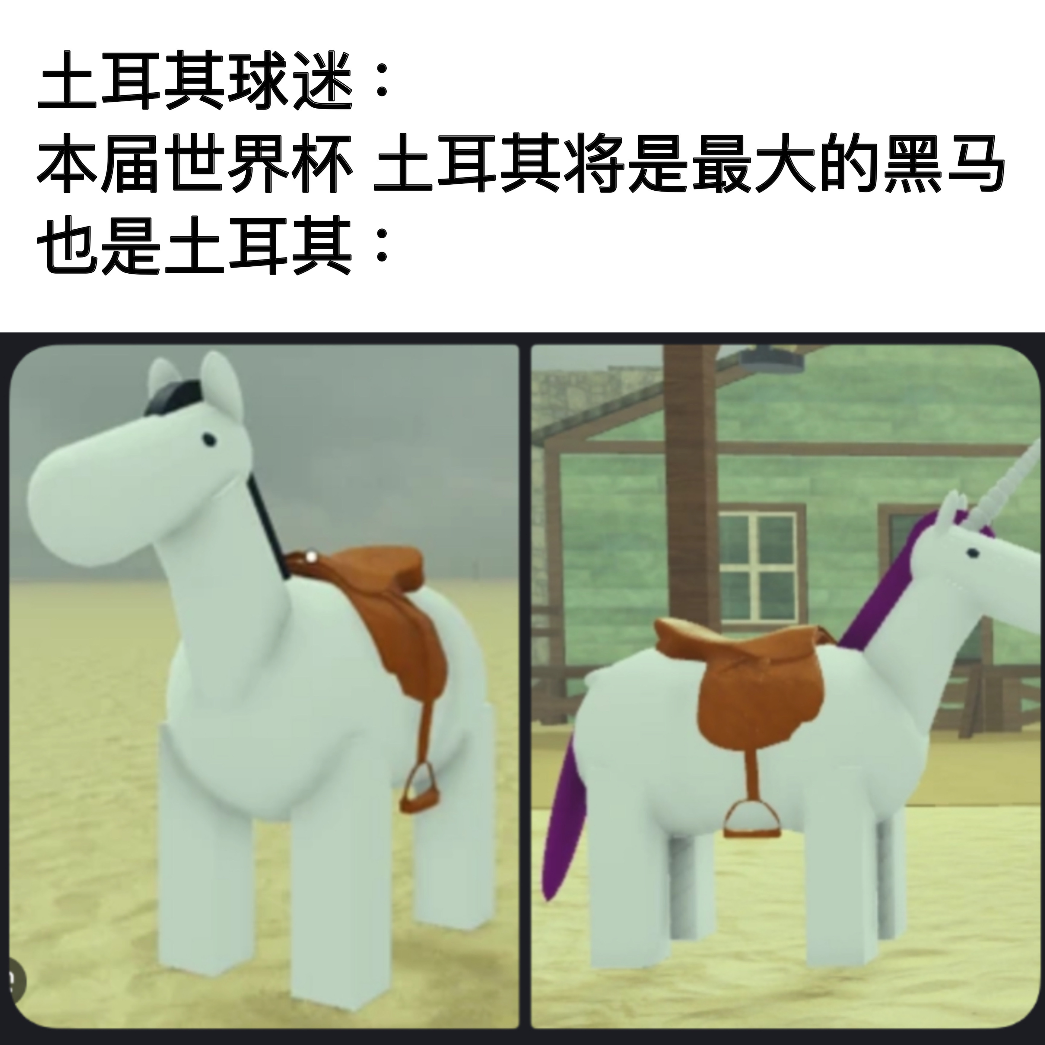 白马非马memes世界杯土耳其