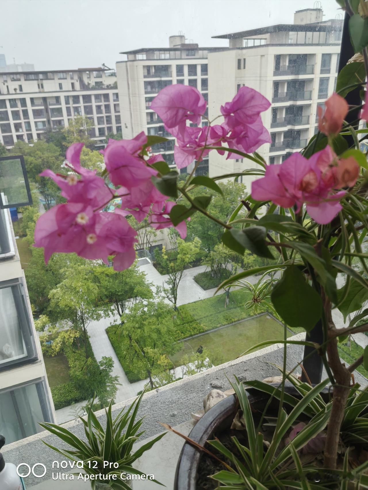7月31日下午,绵阳已启动防汛三级应急响应
全市多预警齐发
今晚起持续强降雨 局
