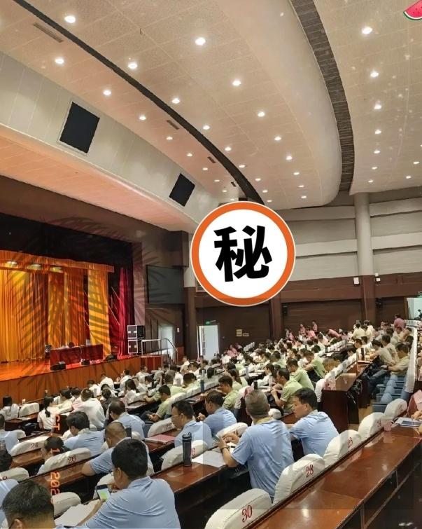 总算有国企醒过神了！“干部年轻化”的急刹车踩得太对了，再这么盲目搞下去真要出问题