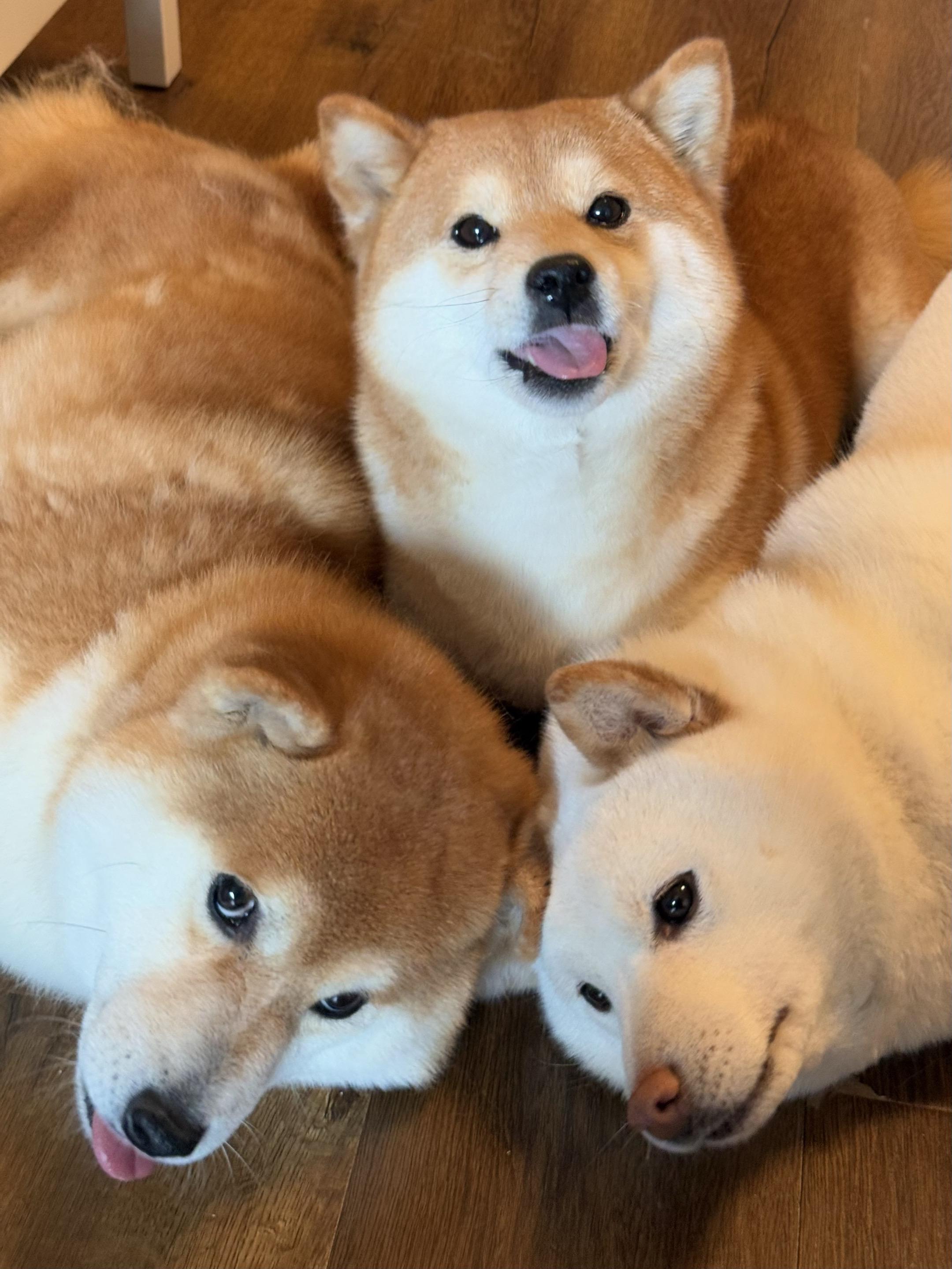 泥嚎～ 你是我的好朋友