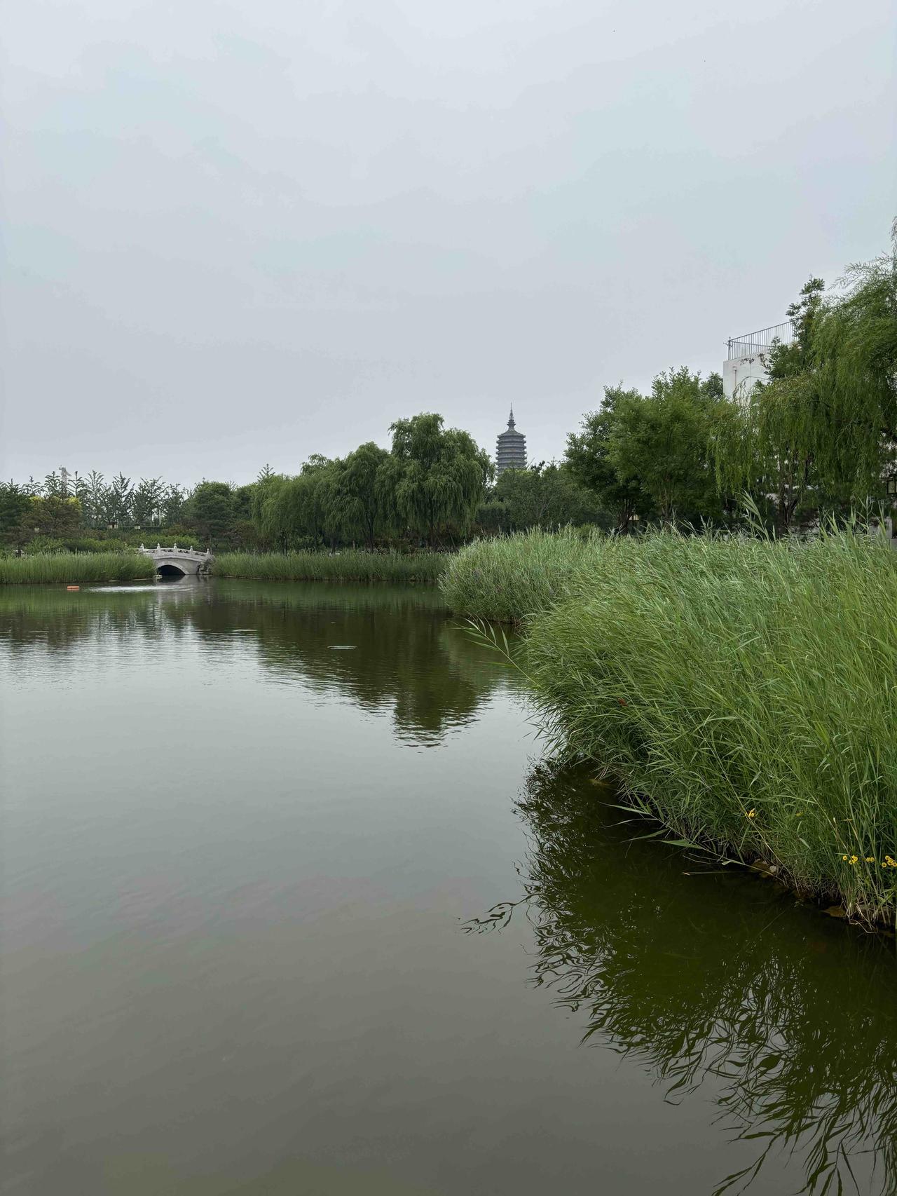 临江仙 •晨曦湖景

文/熏墨
晨曦初露东方白，清波轻漾微澜。
湖中塔影幻如烟。