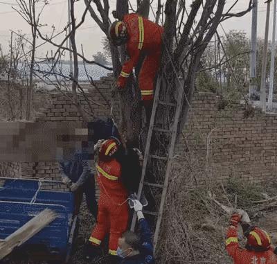 万万没想到！北京顺义的荒郊野岭，一名壮年男子竟被死神“倒吊”在3米高的树杈上。