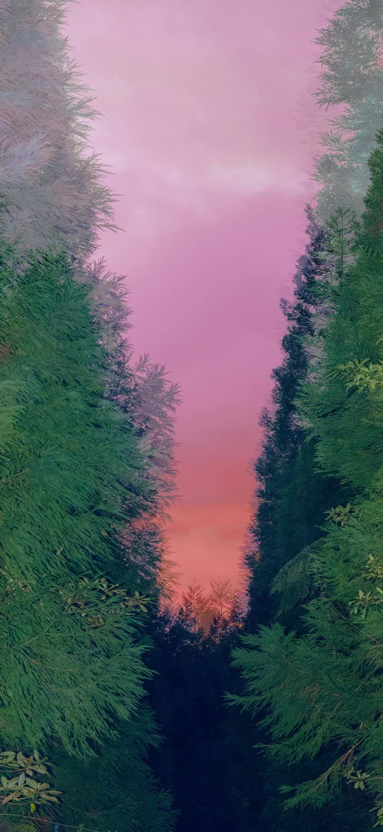 丰富一下手机壁纸吧 ​​​