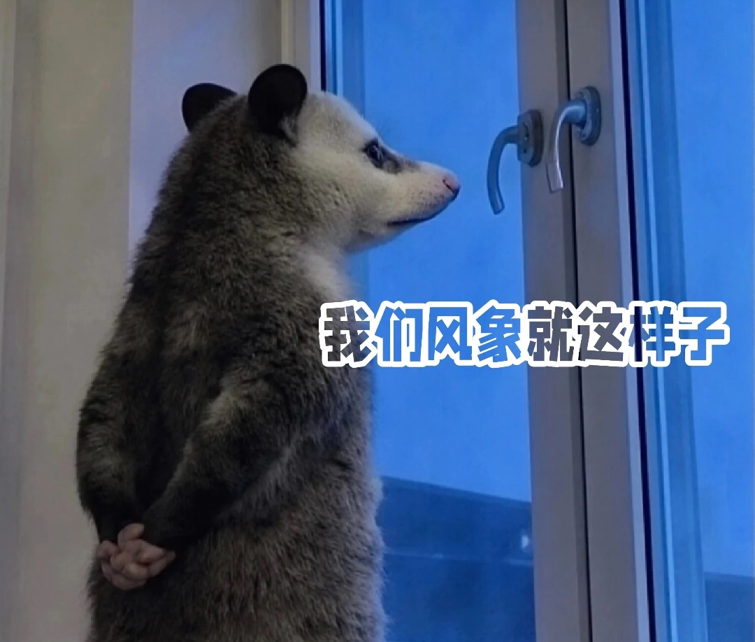 以前不太了解星座还有四象，但每次一刷到关于风象的描述，就感觉是在说我哈哈尤其是这