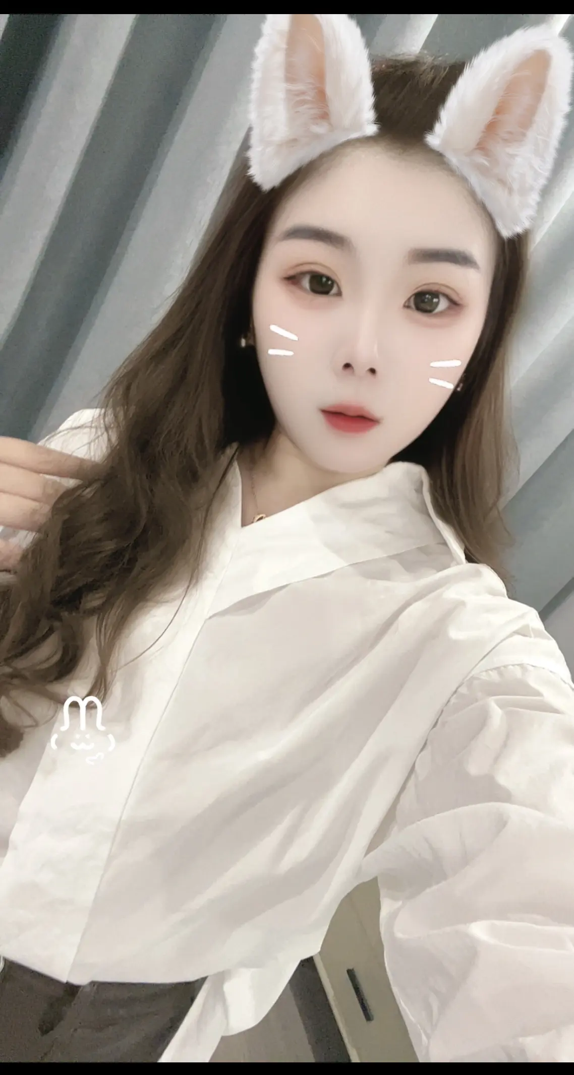 巳巳如意冠福气