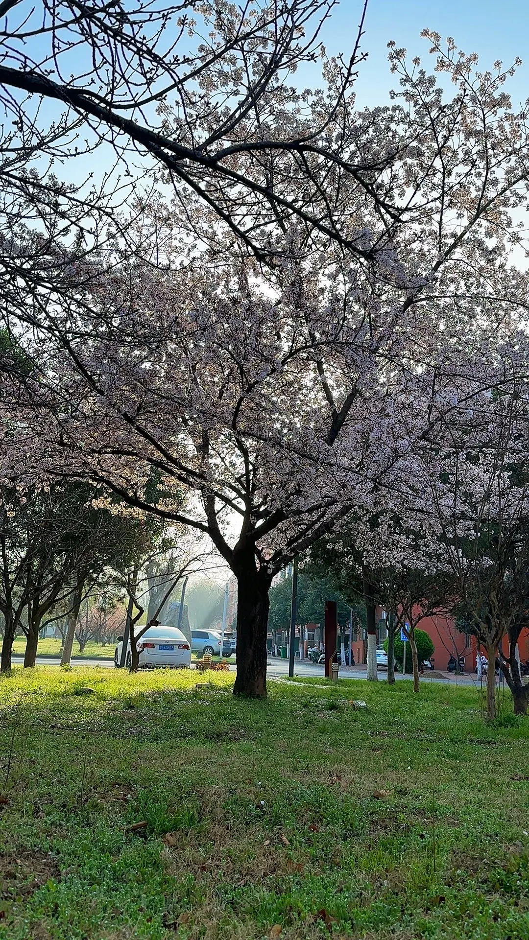 珍惜此刻美好，以后别熬夜了