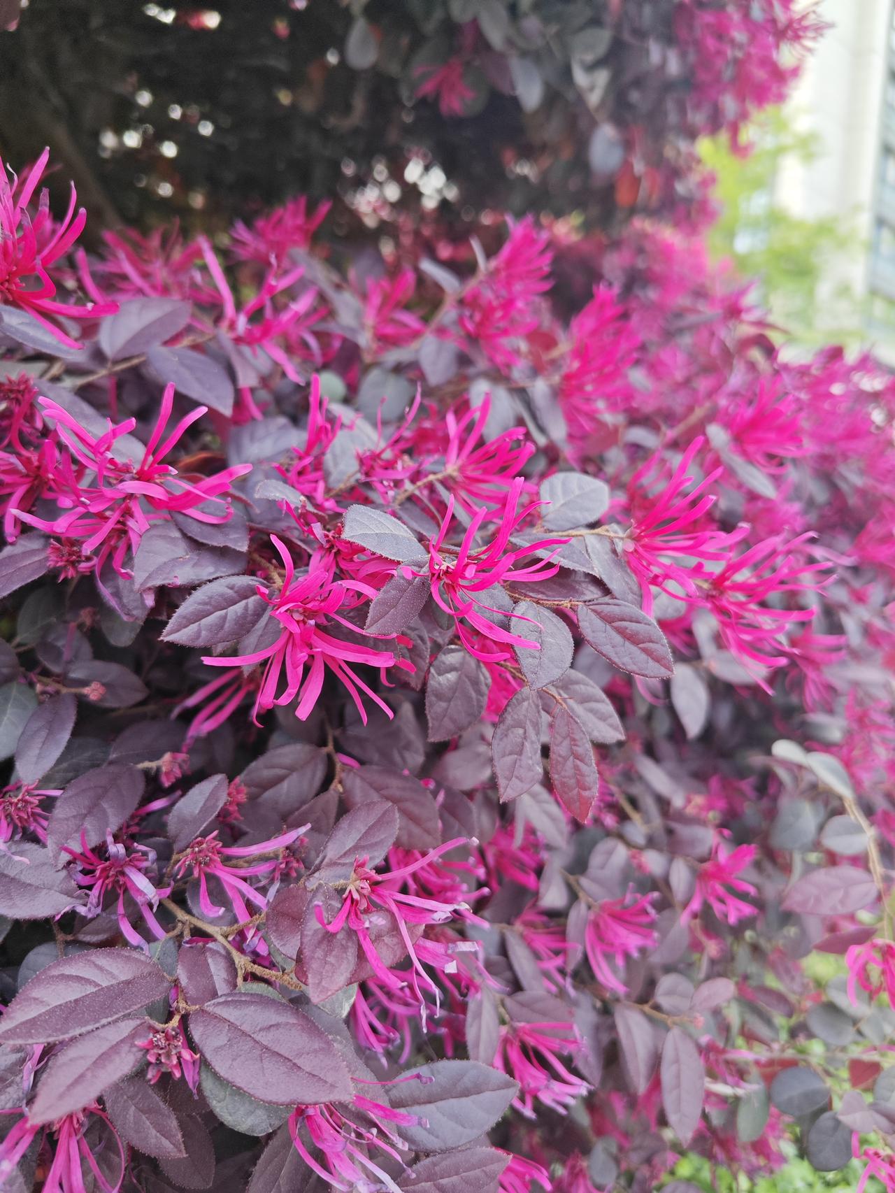 别再把养生当任务了，又花钱又费劲。真正把身体养好的招，全是反着来的——不费钱、不