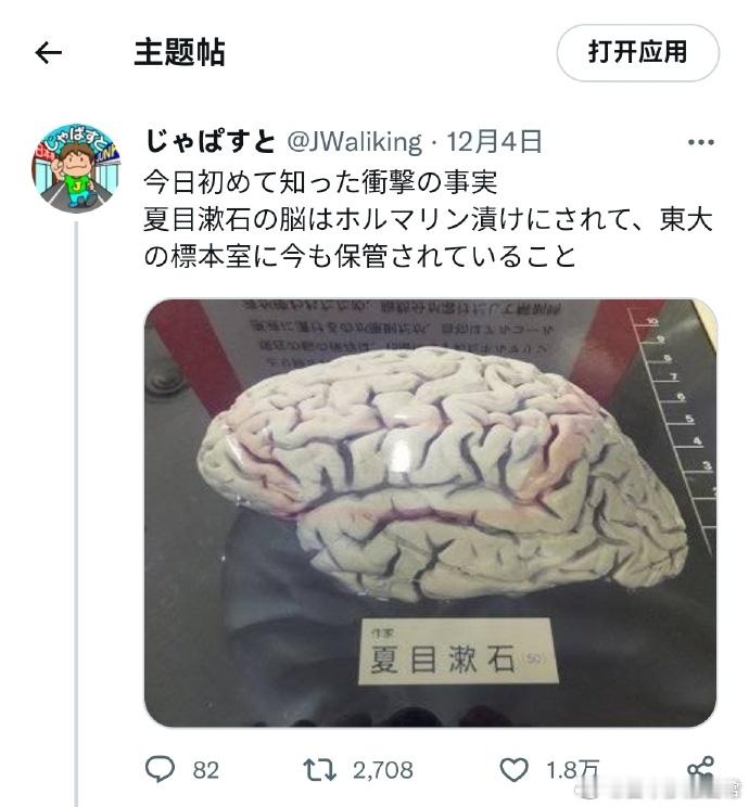 【冷知识】今天才知道的震惊的事实。夏目漱石的脑子浸在福尔马林里，现在依然保管在东
