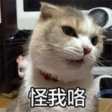 璃柔最爱国际