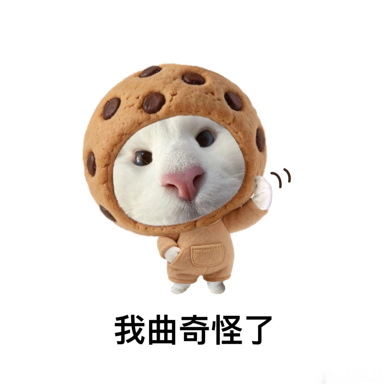 我曲奇怪了🤔 