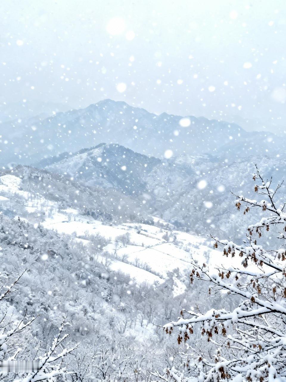 AI妙生图雪飘塞北千山素。