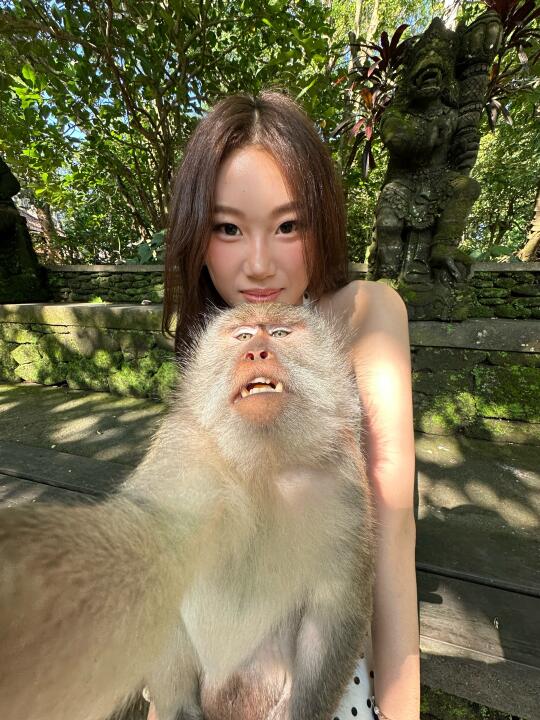 特别美萌的18张巴厘岛plog💬🏝🐒