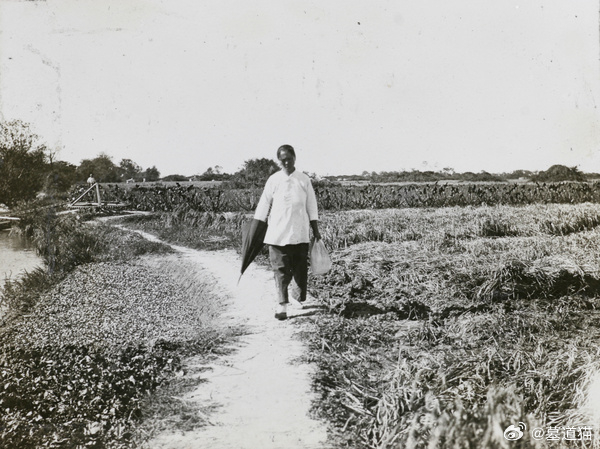 打着雨伞的女人，1920年，上海 