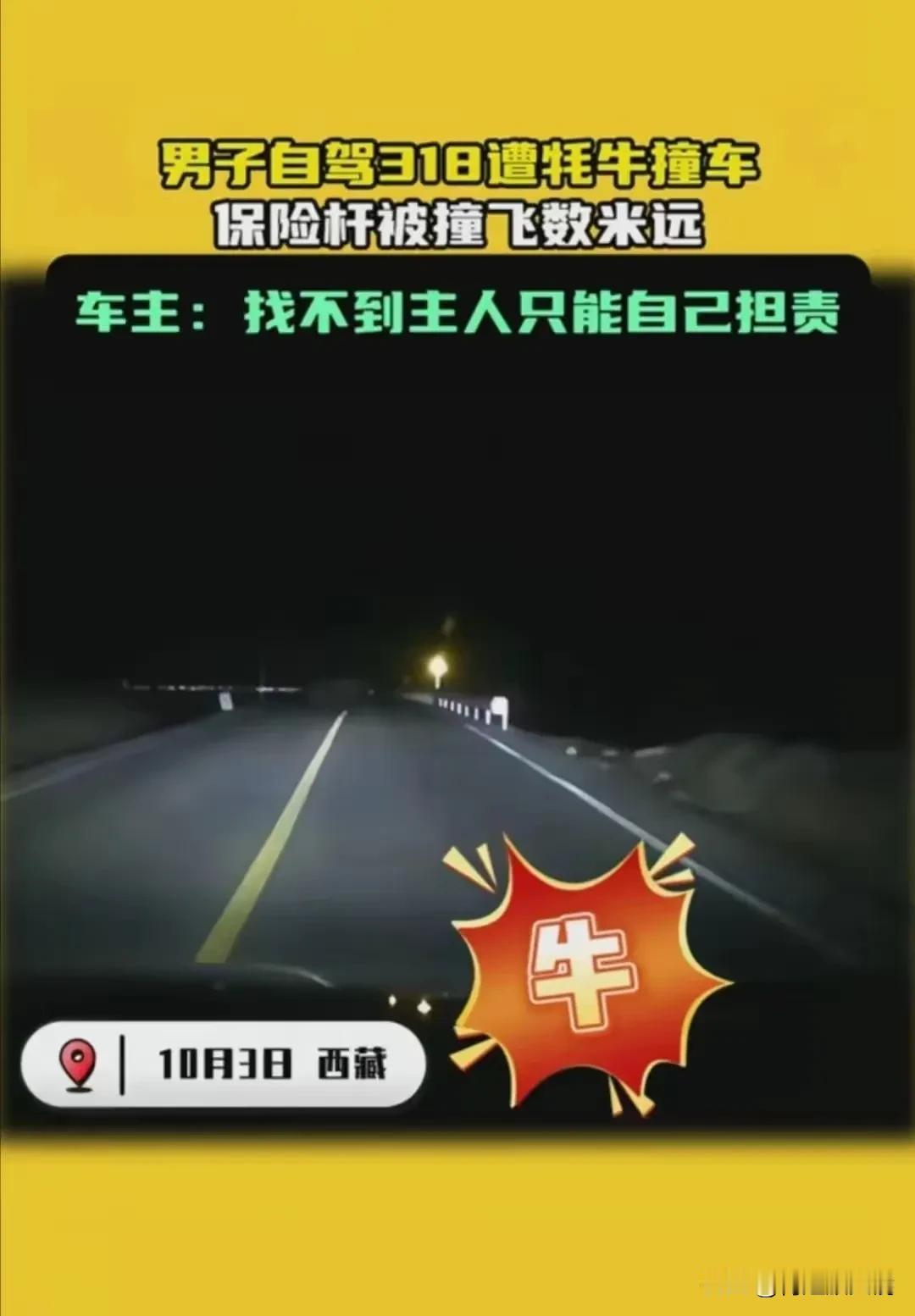 对于这起男子自驾318遭遇牦牛主动撞车的事件，确实引发了不少关注和讨论。以下是我