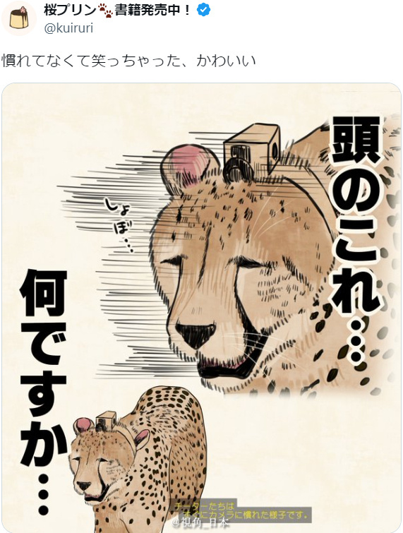 出去遛车，sb车几天不开就亏电，每天像遛狗一样遛。回家路上突发奇想抄近道结果开进