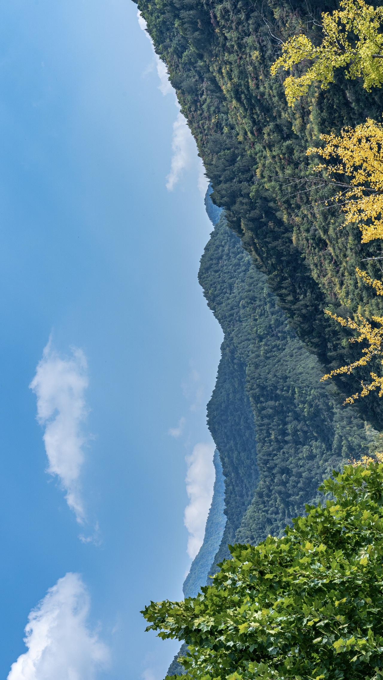 “树树皆秋色，山山唯落晖。”看那连绵的山峦，似水墨画卷般在天地间铺展，层林尽染，
