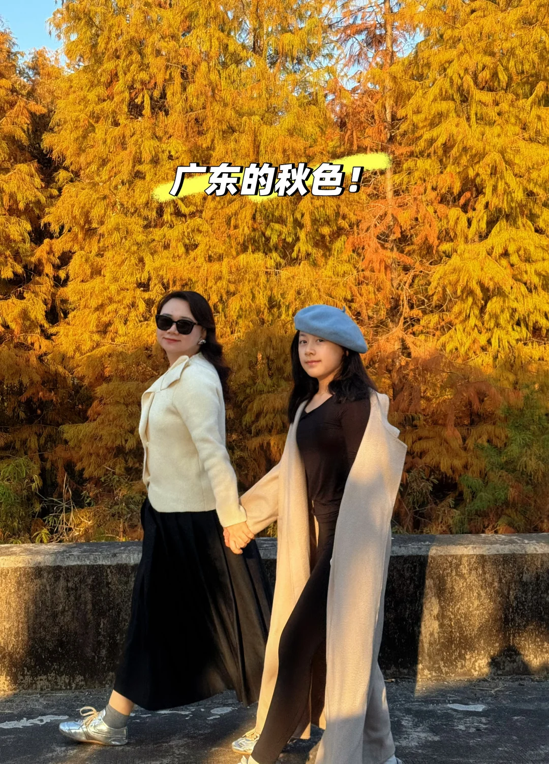 广东的秋色啊！