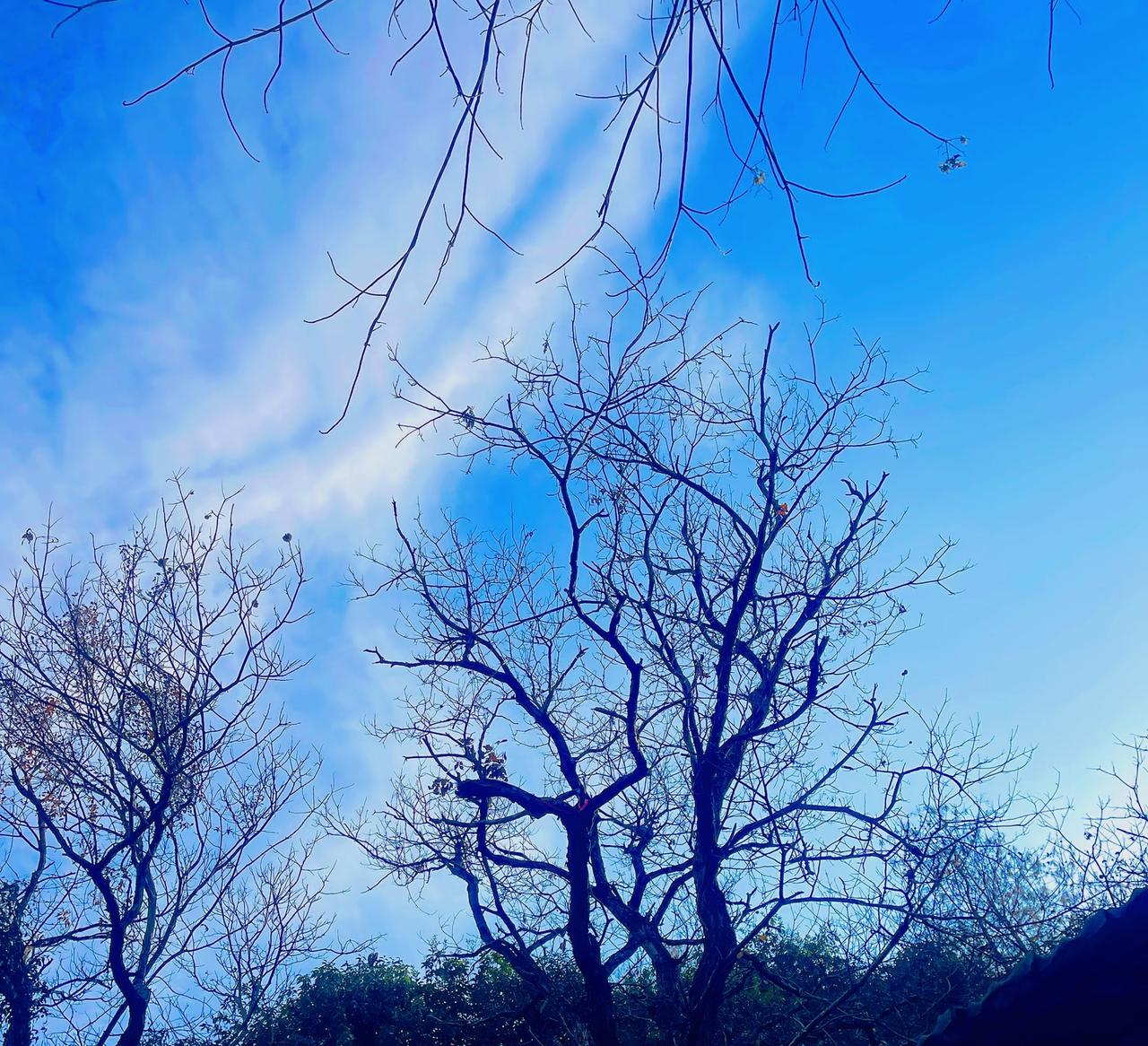 ：）
究竟是事在人为 ？还是命中注定？回顾过往重大的人生选择 突然发现那些曾经以