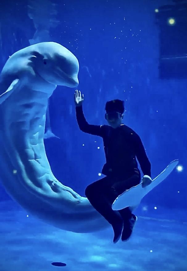 腹肌明显的海洋生物