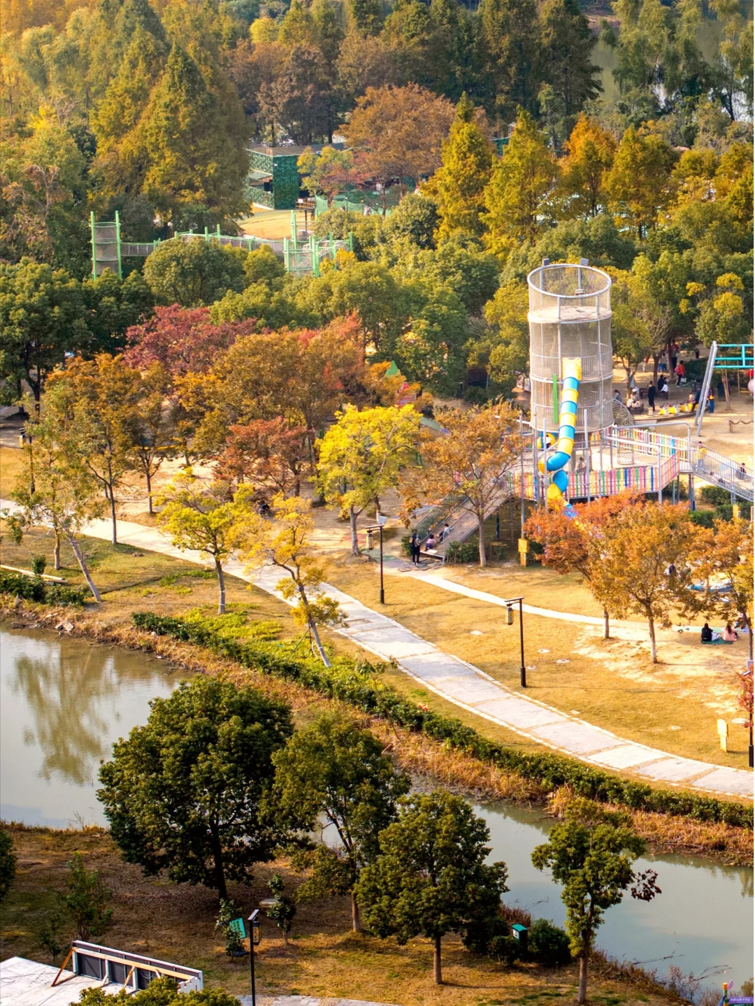 接下来苏州的秋天，堪称秋日旅行天花板