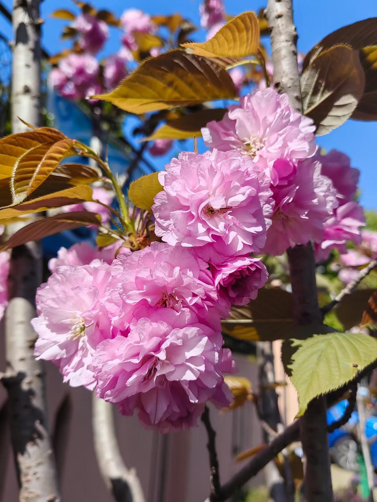 人这一辈子，走过半生才慢慢明白，很多东西看似拥有，其实只是暂时停留。
 
财富会