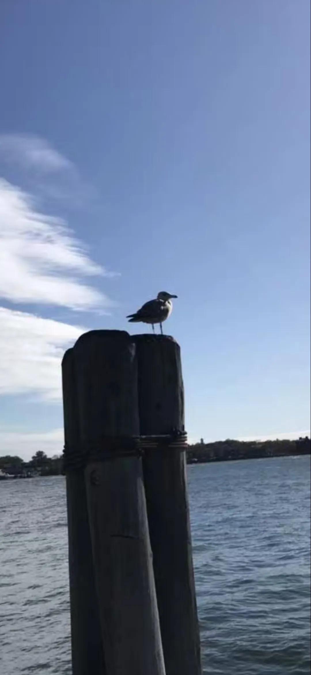 在浩瀚大海极目远眺