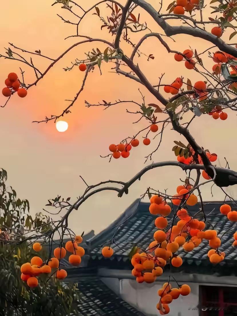 写作这碗饭，真不是谁都能端稳的！每天对着电脑敲8小时字，键盘敲得发烫，指尖都泛着