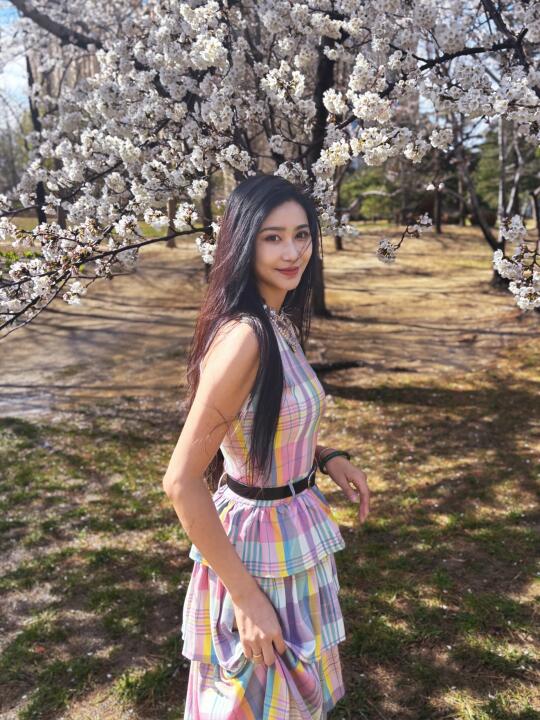 白色的是梨花吧？