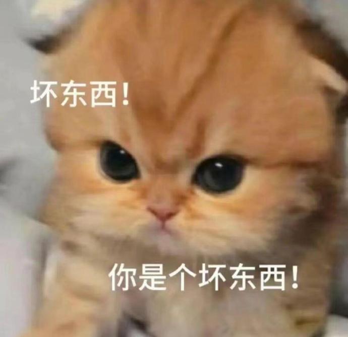 判定追星号没有活力分？橙v没有vvip？大眼你坏滴很！ 