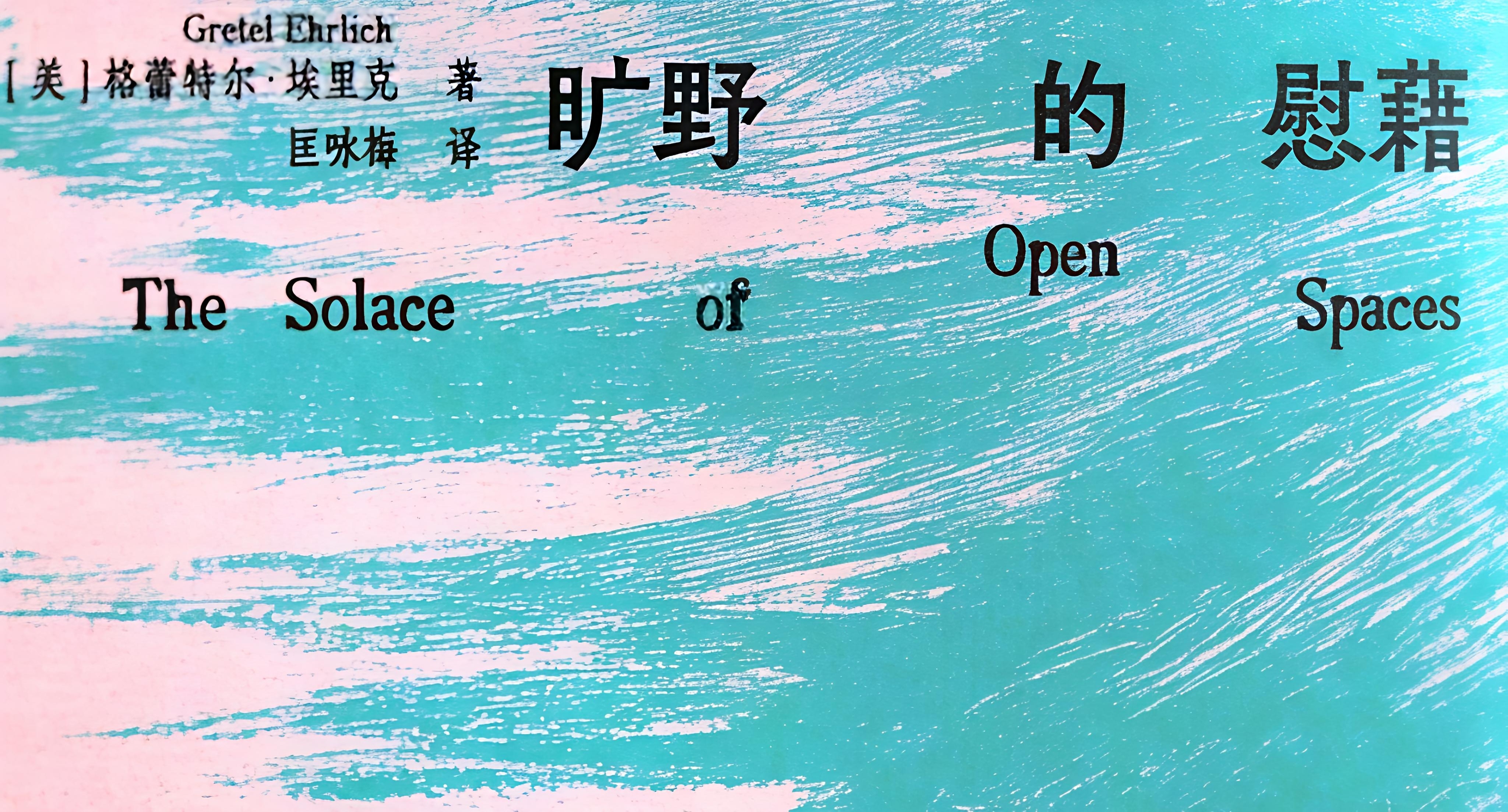 最近读完的书，是这本《旷野的慰藉》。与其说读完，不如说走完。我在书中的夏季平原上