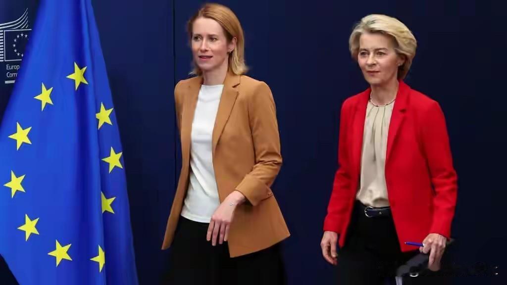 一山不容二虎，还是母老虎！

两个女人一台戏，欧盟内部的冯德莱恩与卡拉斯的一番角