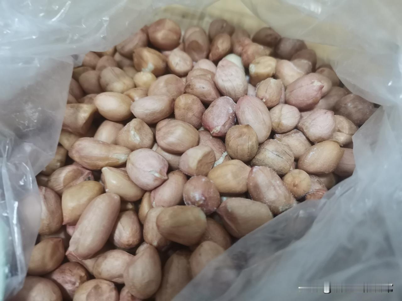 人常说，金豆银豆，不如一把黑豆。黑豆是我们的宝贝，有人还说黑豆，也可以叫乌金豆，