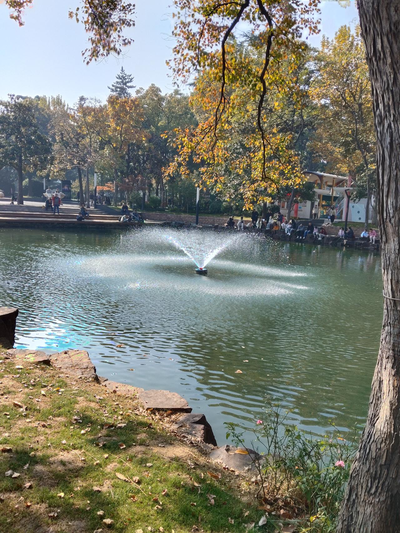 【爆款标题】“鸟巢”万人大合唱现场为何“没声响”？真相让你震惊！

大家好，我是