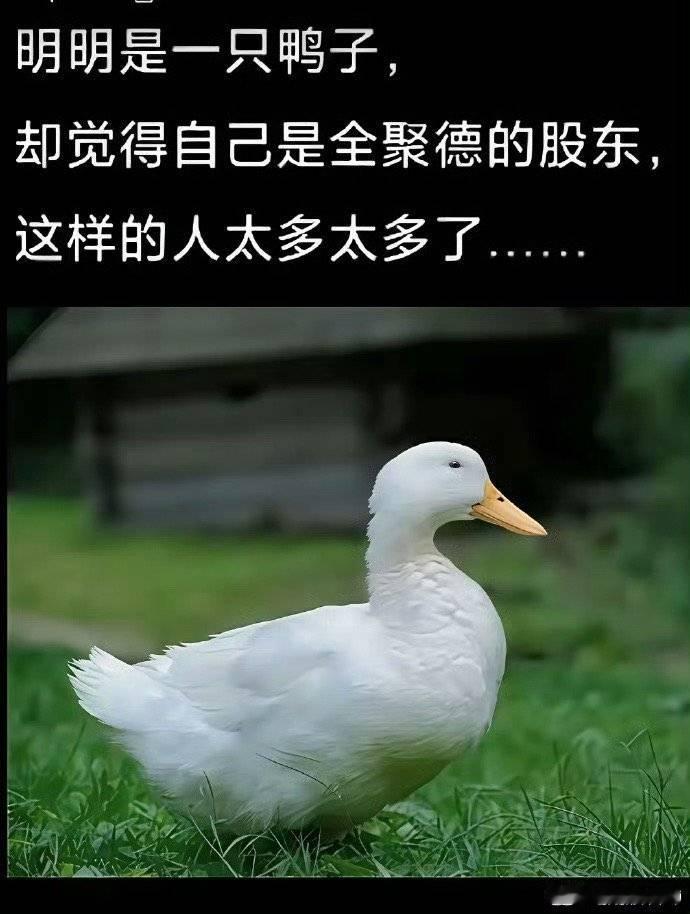 这图有意思 