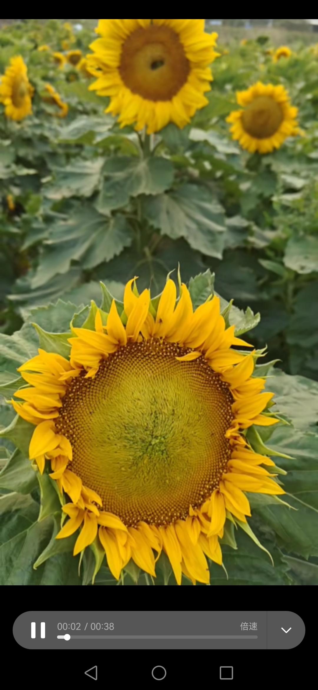 精神内守，真气从之。我希望大家好好体会其深义。
     一些人，遇到一点点事情