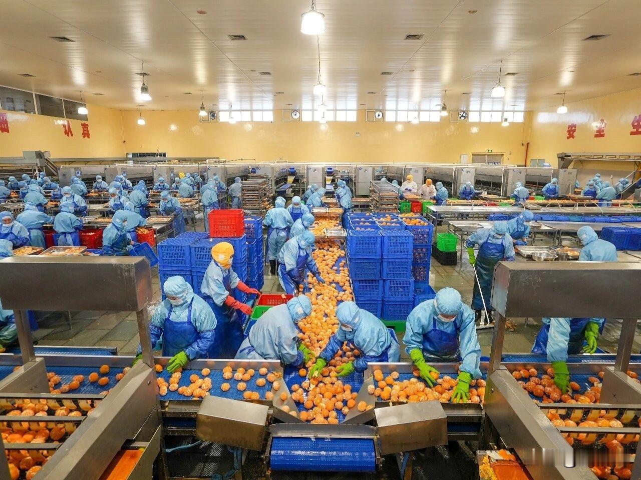 吃干榨净！黄岩橘子全产业链，出口超3000万美元

黄岩将水果加工打造为近9亿元
