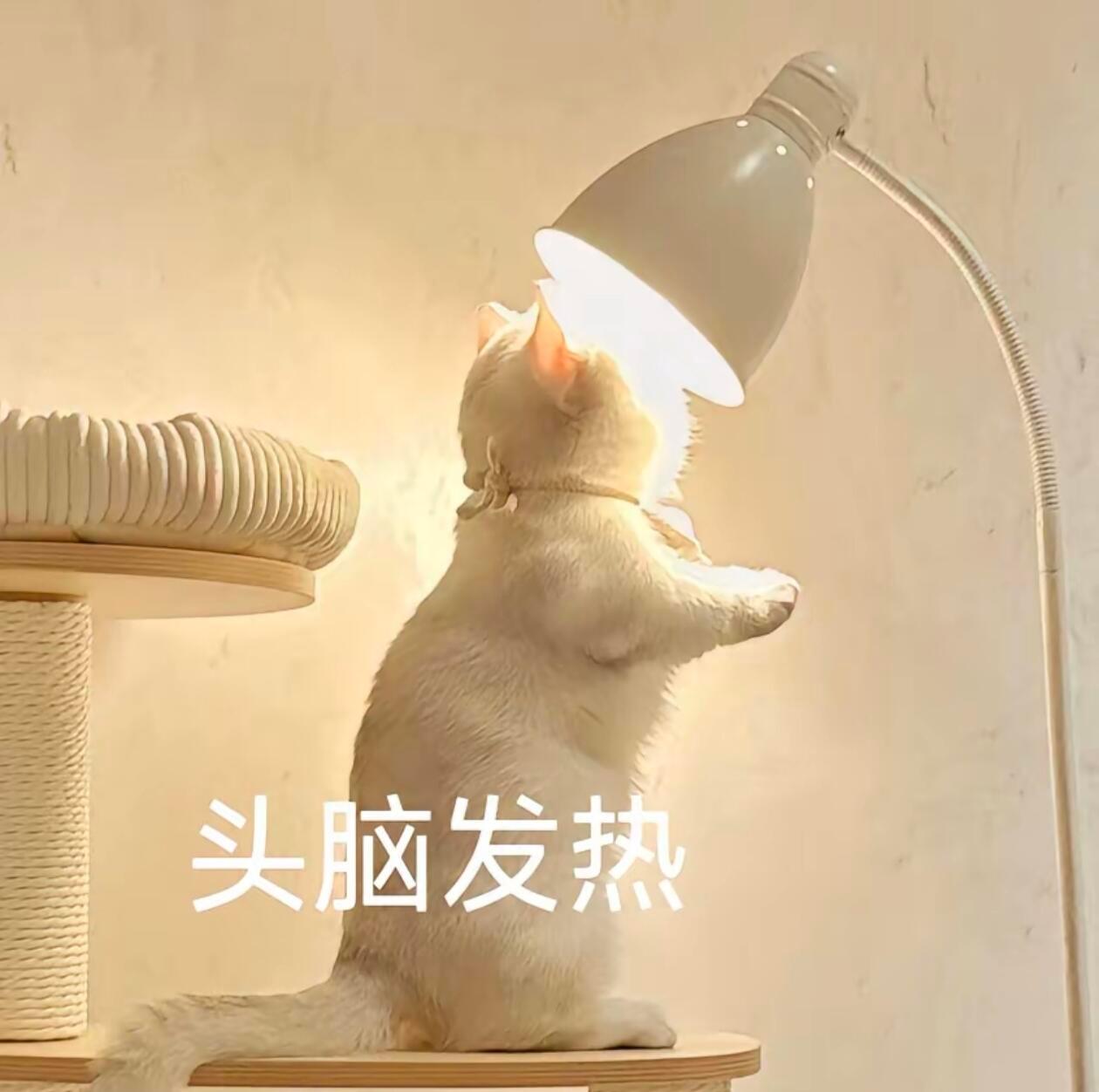 1. 深情的人面对分离，往往不会轻易放手。即便耗尽了力气，也不愿转身离开。所以不