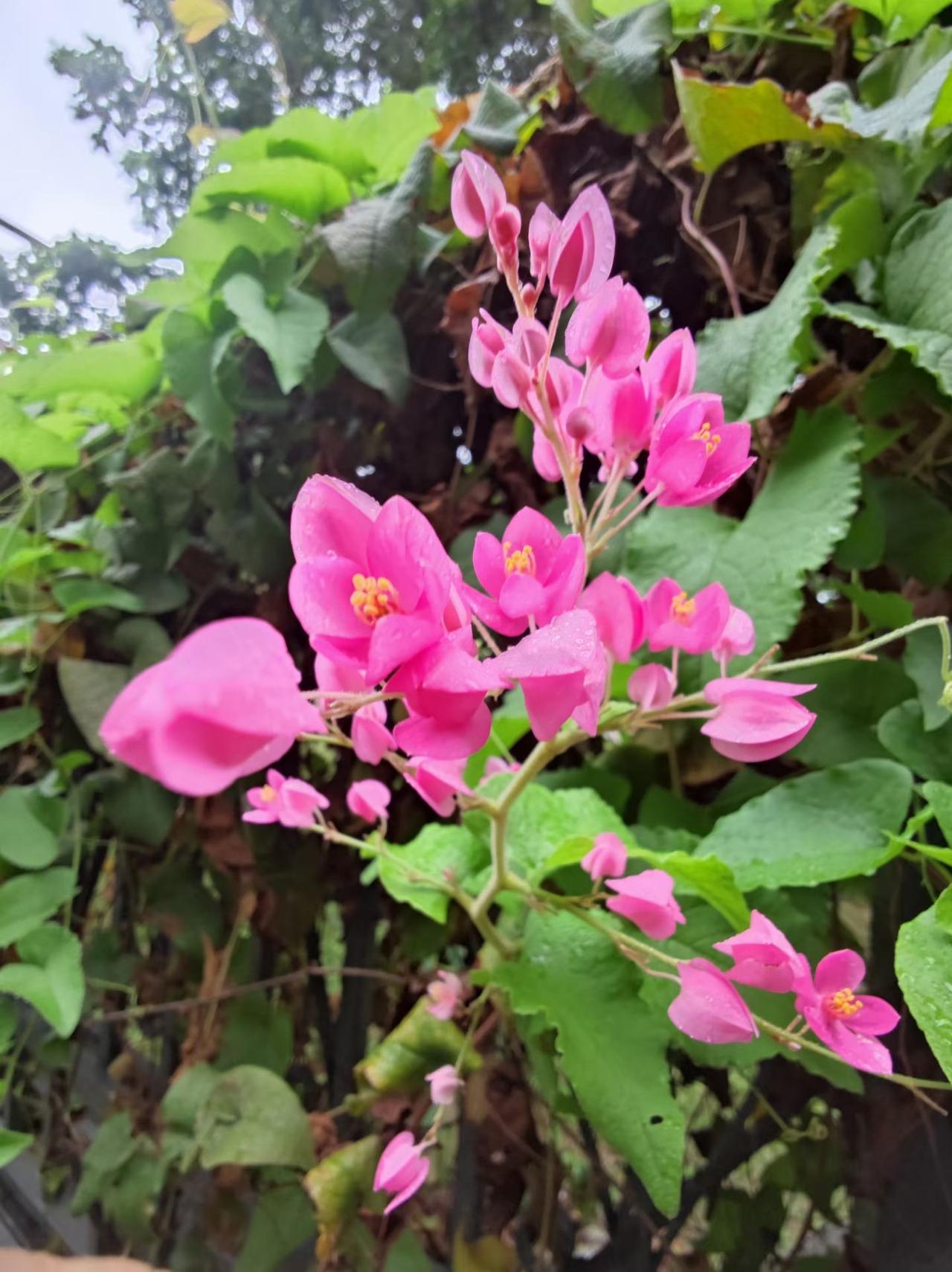 【04.16修身心语】
您好！
随着阅历的增长，你会明白：如果一个人买了适合自己