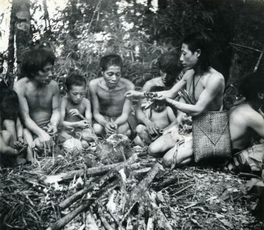 1956年，解放军在云南原始森林深处，发现一群衣不蔽体，蓬头垢面的男男女女。
