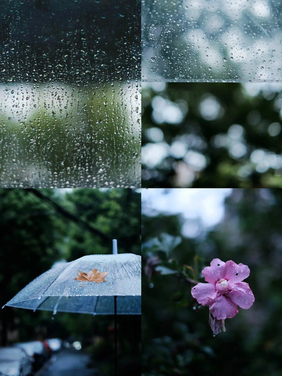 富士直出拍秋雨🌧️原来雨天也能浪漫~