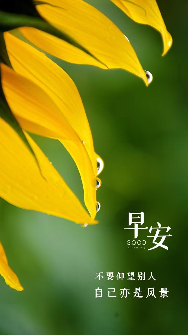 人的双手就这么大，握不住的东西太多了。所以要与自己和解！随遇而安，“知足者常乐，