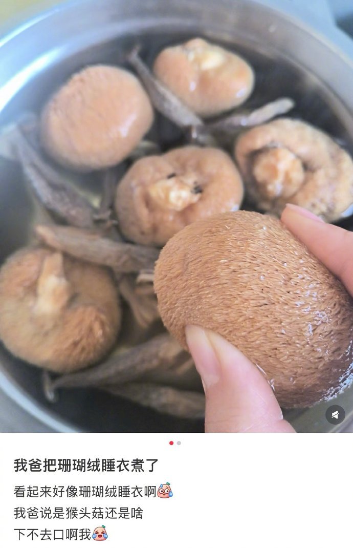 我爸把珊瑚绒睡衣煮了 