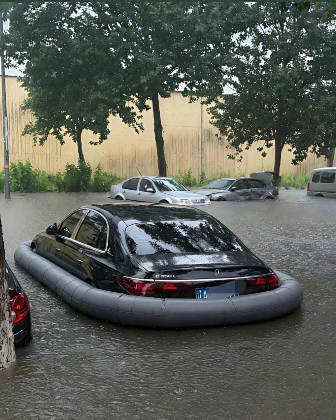 只要是底子厚实，根本无惧风雨 ​​​