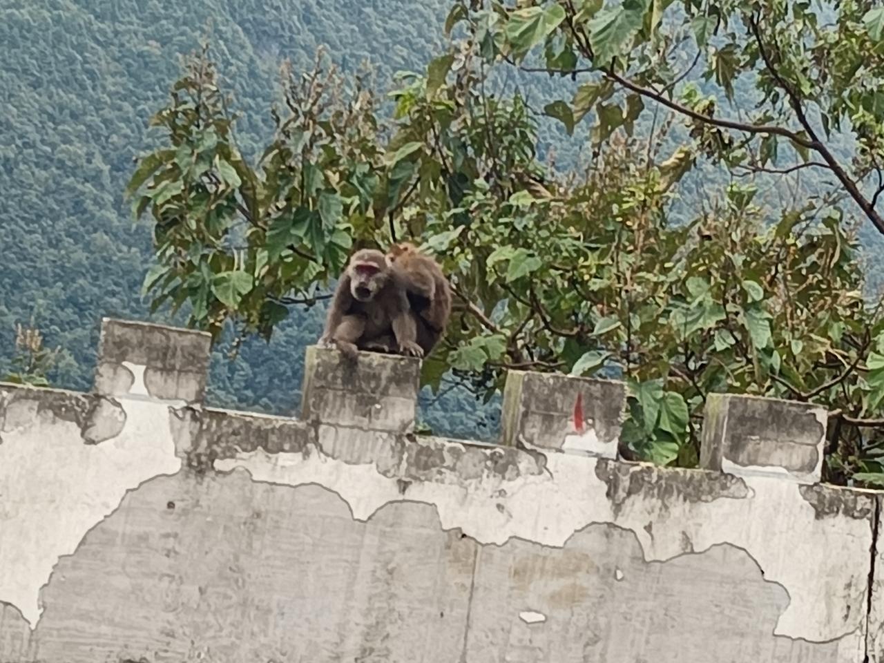 你遇到过过河拆桥，忘恩负义的人吗当下这样的人不比比皆是吗？没体现出来，是没有利益