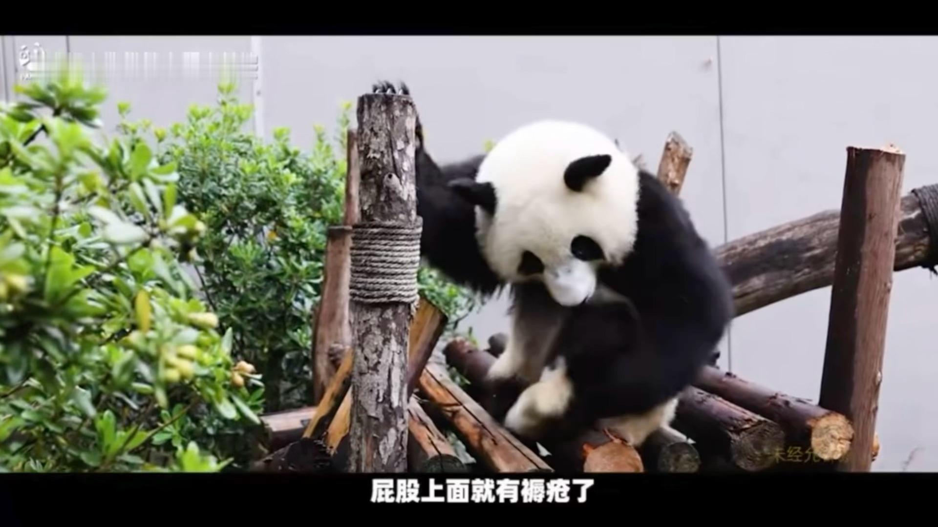 特别坚强的小姑娘 