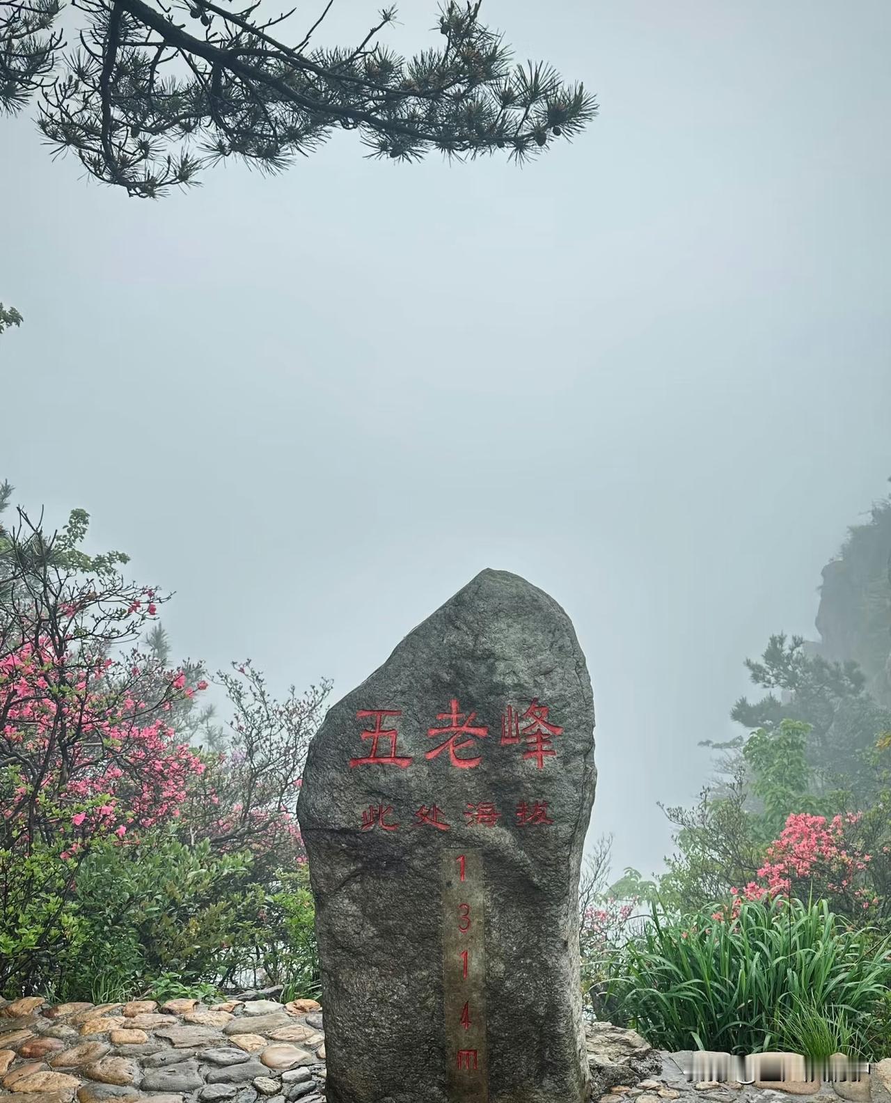 早闻“庐山天下悠”，亲身体验却只剩“庐山天下忧”——管理混乱、消费坑点密布，好好