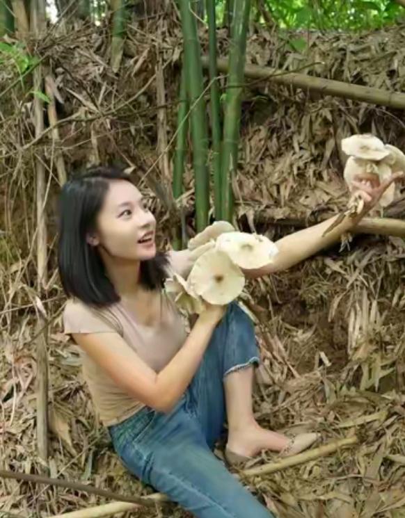 这种野山菌能吃吗。在我外婆老家山上有很多这种野生菌，特别是下过雨后天气闷热时，树